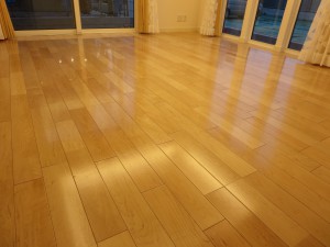 新築戸建シリコン